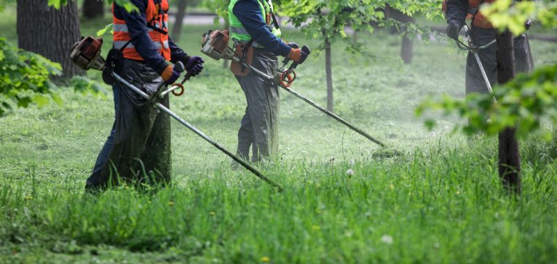 Weed Cutting