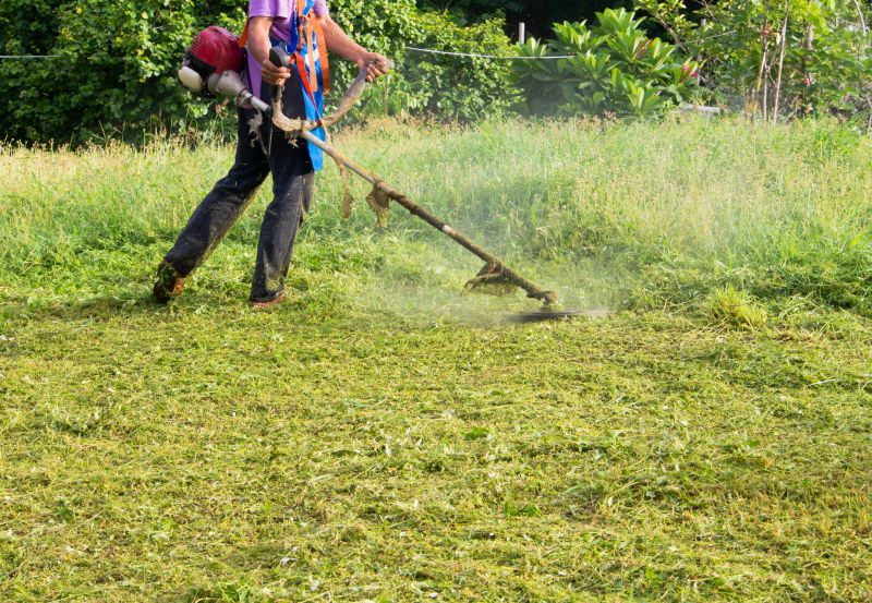 Weed Cutting Cost Overview — Cost of Weed Cutting