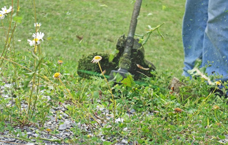 Weed Cutting Cost Overview — Cost of Weed Cutting