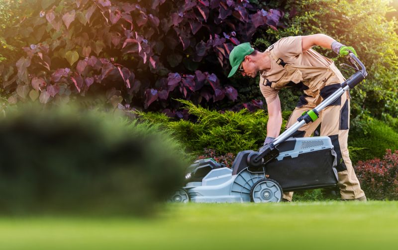 The Difference Professional Lawn Mowing Makes
