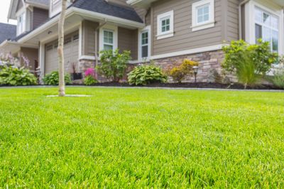 Keep Your Garden, Lawn, and Landscaping Looking Neat and Tidy