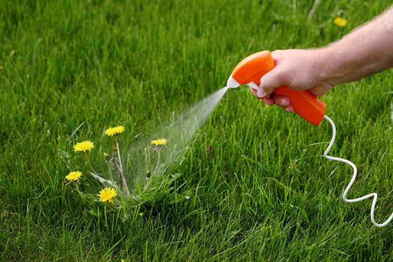 Lawn Weed Control in Aiken, SC